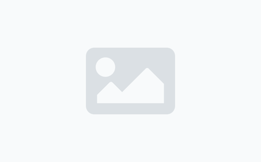 Shop Icon